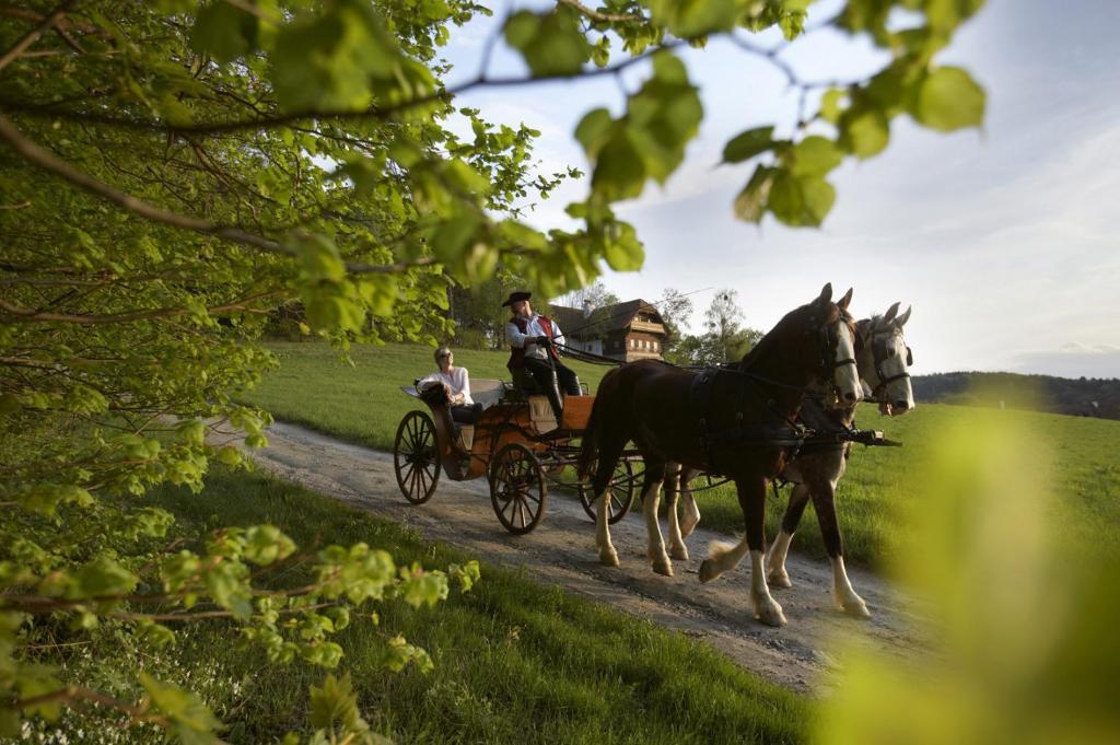Ferienhaus Troadkasten - Familie Friedrich Hartberg Eksteriør billede